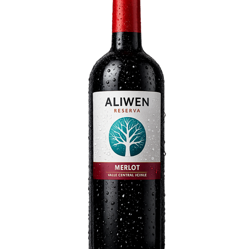 VINO ALIWEN RESERVA MERLOT