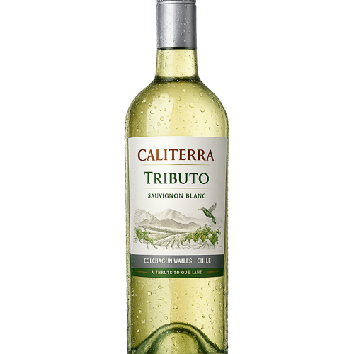 VINO CALITERRA TRIBUTO SB 13.5Ñ 750 CC