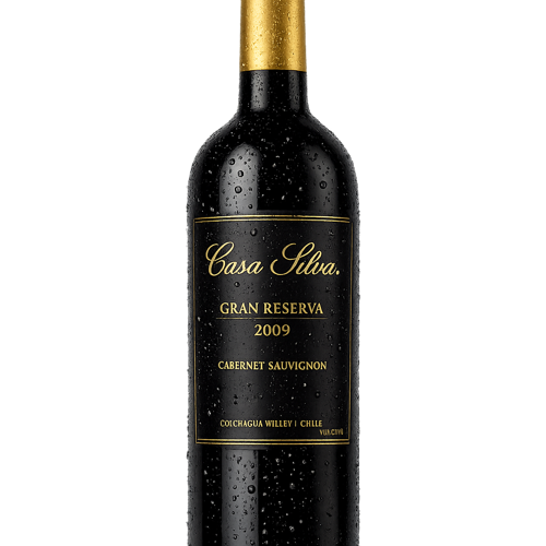 VINO CASA SILVA GRAN RESERVA CS 2009 14Ñ 750CC