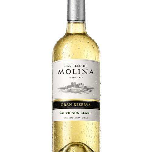 CASTILLO MOLINA GRAN RESERVA SB 750CC
