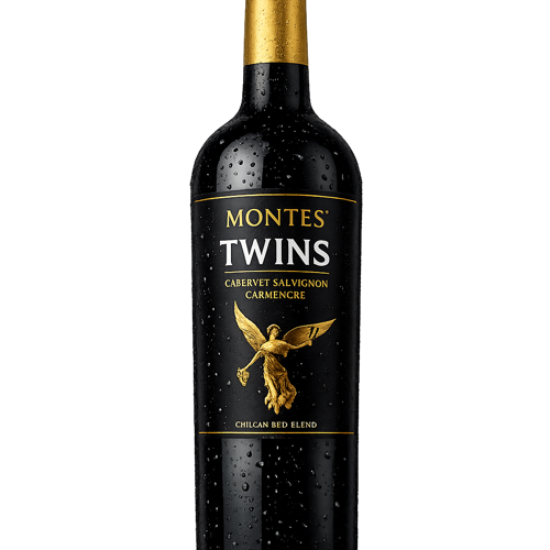 VINO MISIONES DE RENGO RESERVA CS 750CC