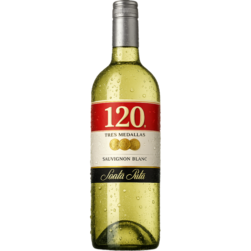 VINO SANTA DIGNA RESERVA SB 375CC
